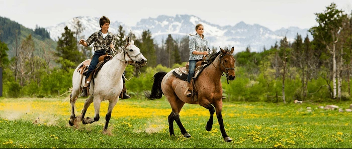 Confident plus-size woman riding Ampthill a horse through a field with a smile on her face.